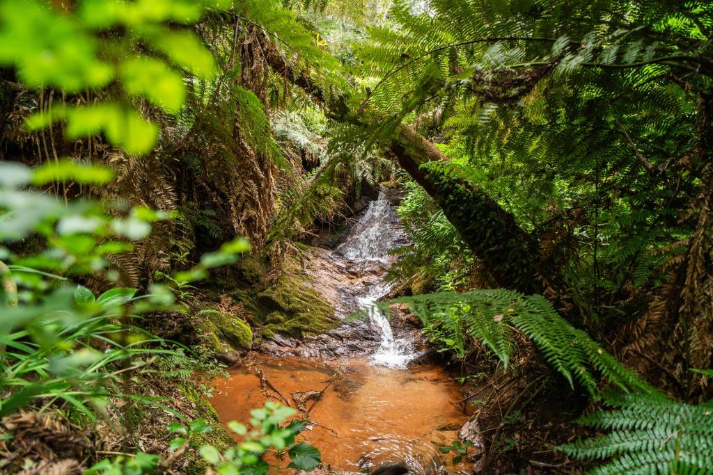 Incrível casa com cachoeira em meio à natureza photo 4