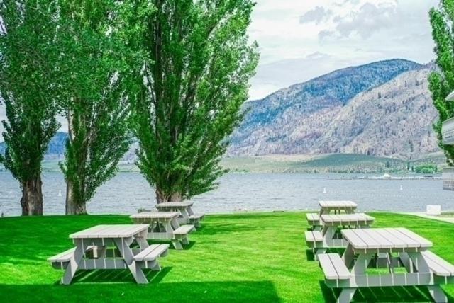 Poplars Motel on the lake photo 3