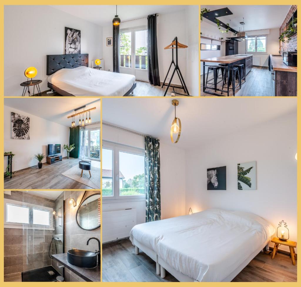 Appartement T3 Cozy Douvaine photo 2