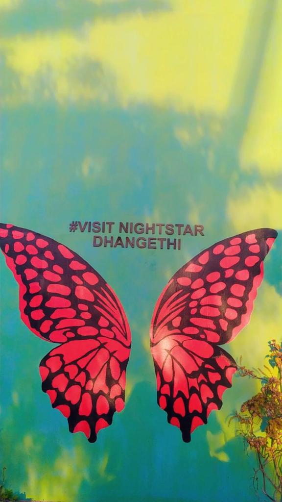Night Star Dhangethi photo 3