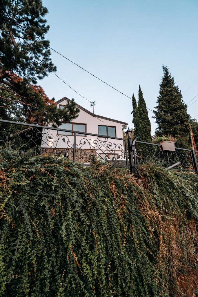 The Cypress Villa & Vineyard II photo 1