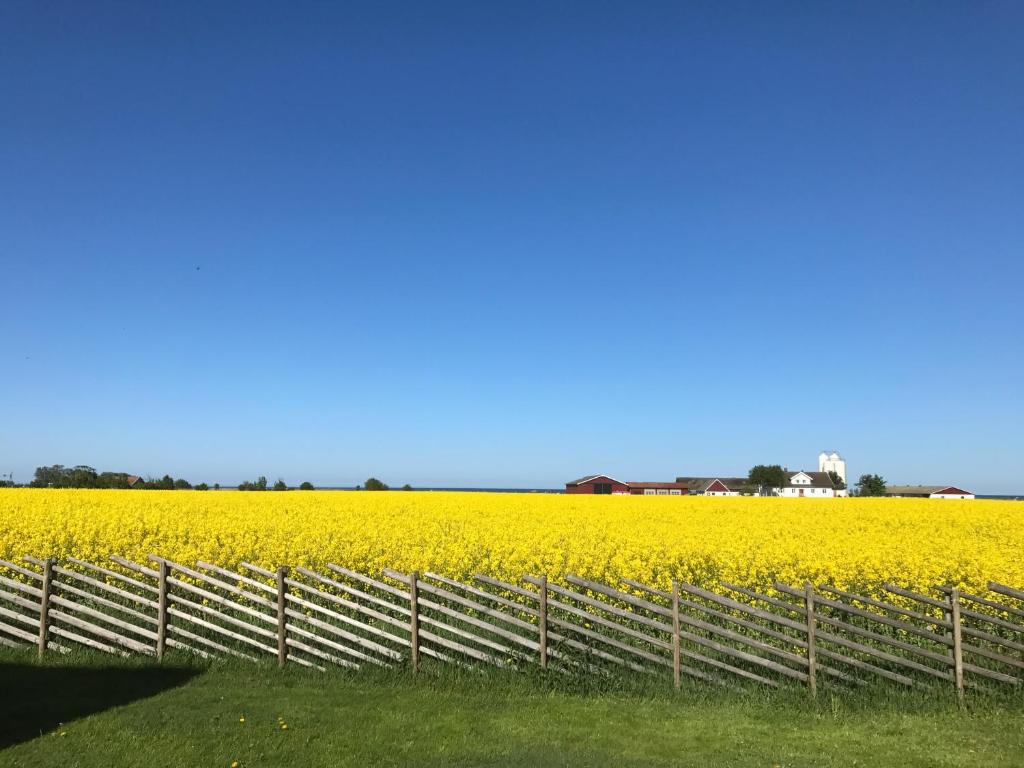 Havsnära lantligt boende photo 3