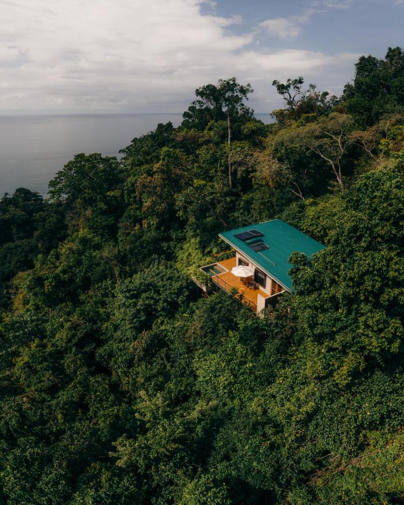 El Remanso Rainforest Lodge photo 2