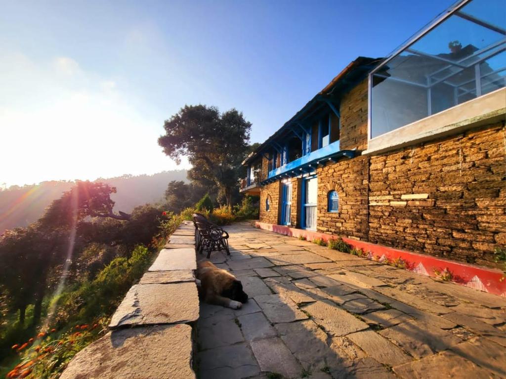 Kot Kailash Kumaon photo 2