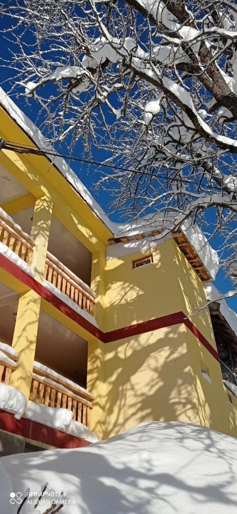 GUEST HOUSE RIMAS HOME photo 2