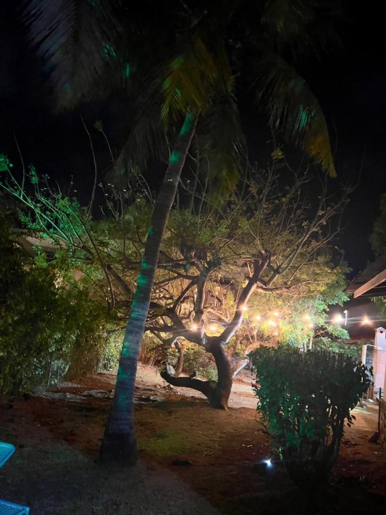 Casa Renascer photo 3
