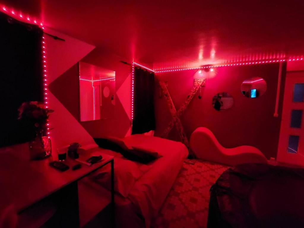 Studio cosy entre amoureux photo 4