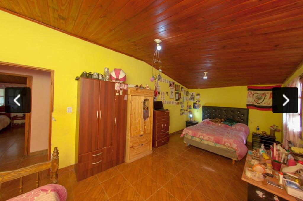Casa Lozano photo 4