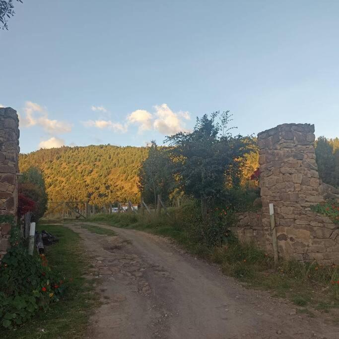 Cabaña Ecuestre Ruta 77 photo 4