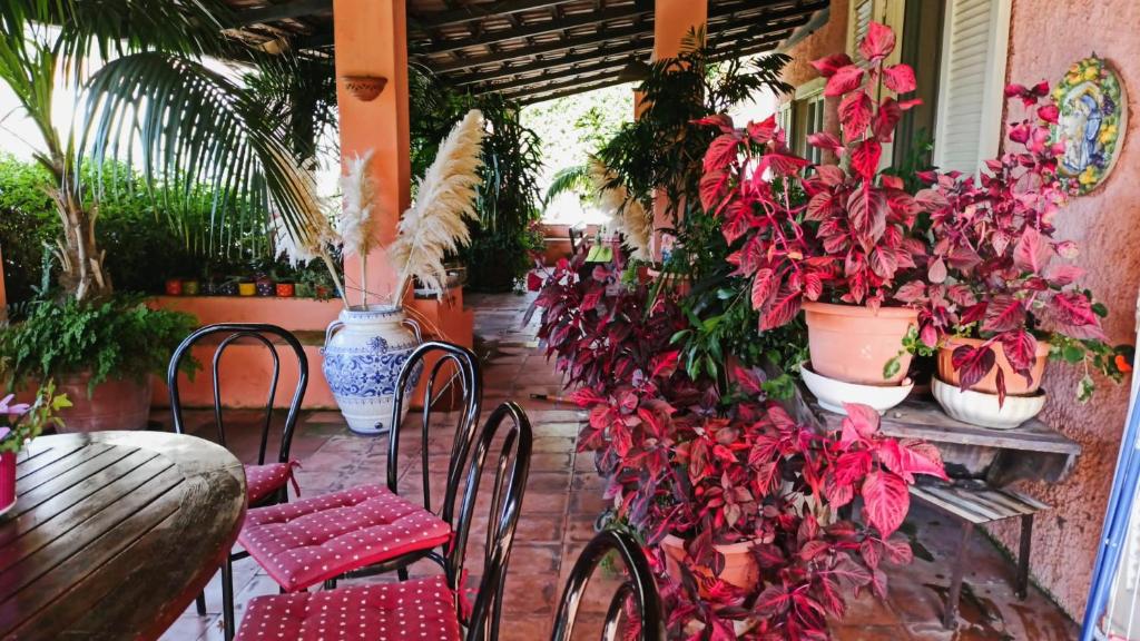The Secret Garden Maratea - Casa di Elena photo 2