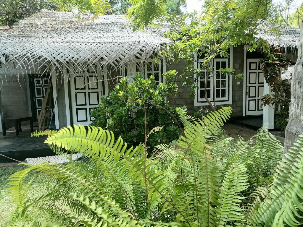 Werala Beach Resort photo 1