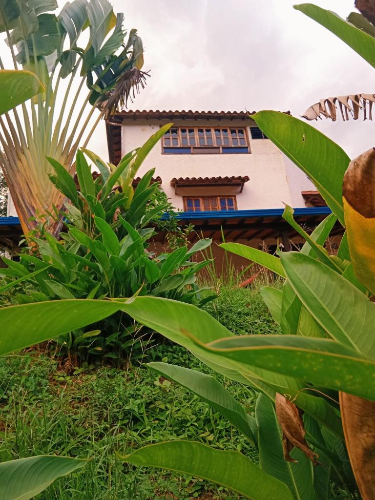 Apartamento Campestre Con Piscina Villa Lucy photo 4