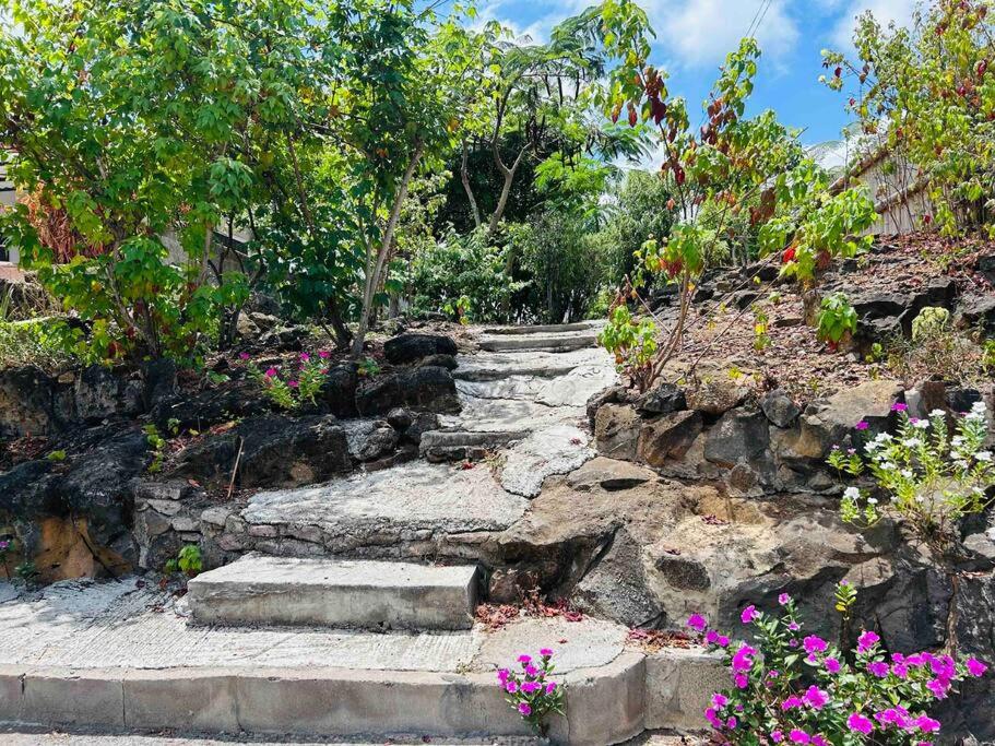 GALÁPAGOS UP SUITES photo 2