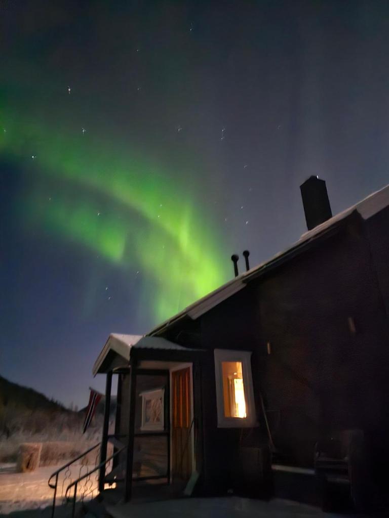Elvestua house in nature