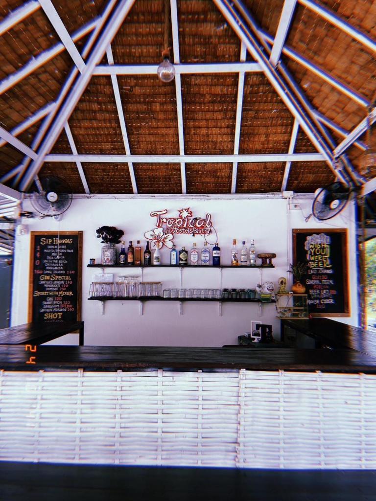 Tropical Hostel photo 3