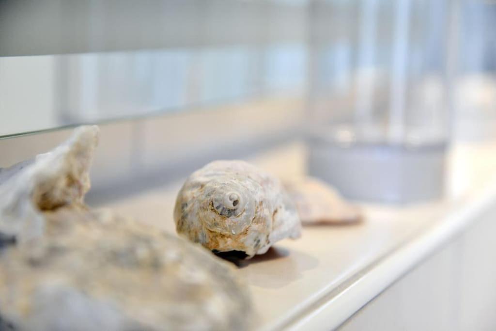 Haus Bene-Vivere / OG-Appartement photo 2