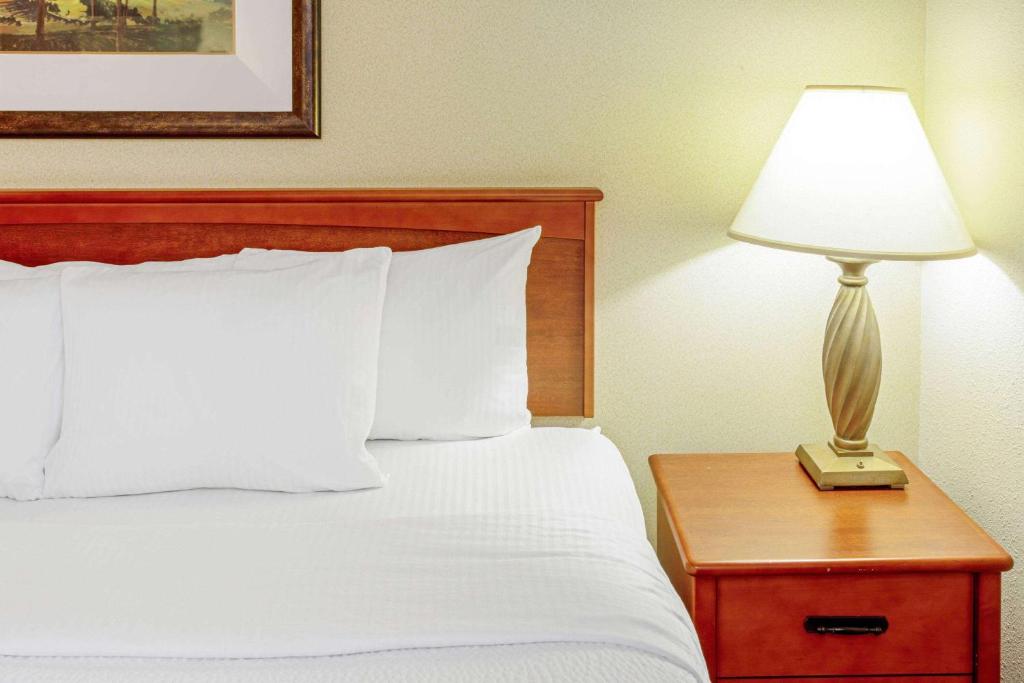 La Quinta Inn & Suites by Wyndham Appleton College Avenue image