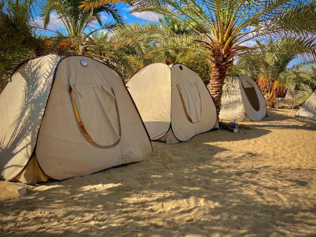 oasis hot spring photo 3