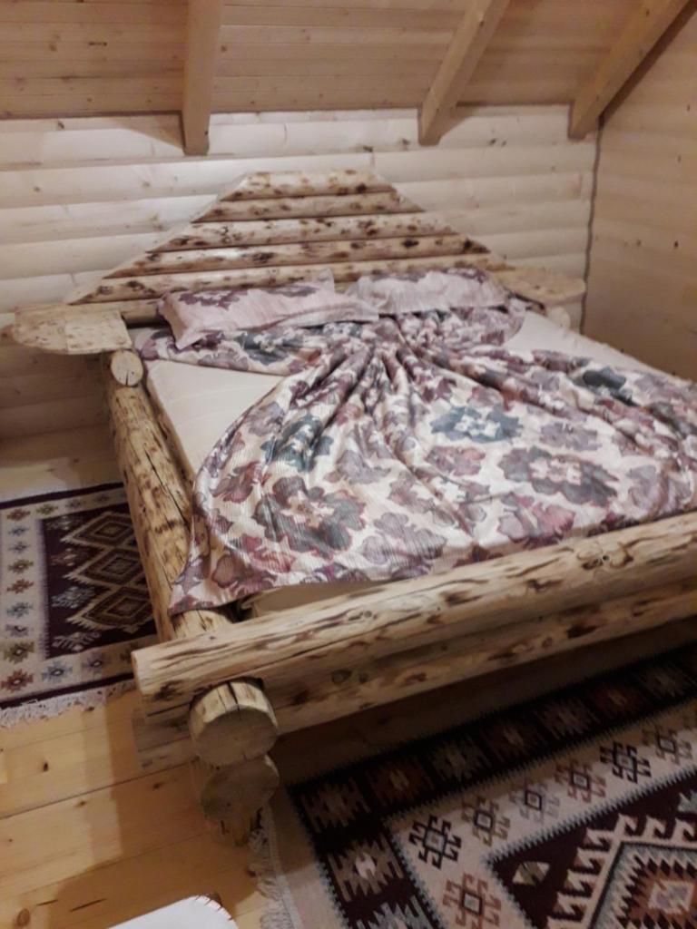 Brvnara Ibar photo 1