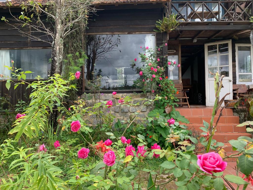 Romantic house on a pine hill Dalat photo 4