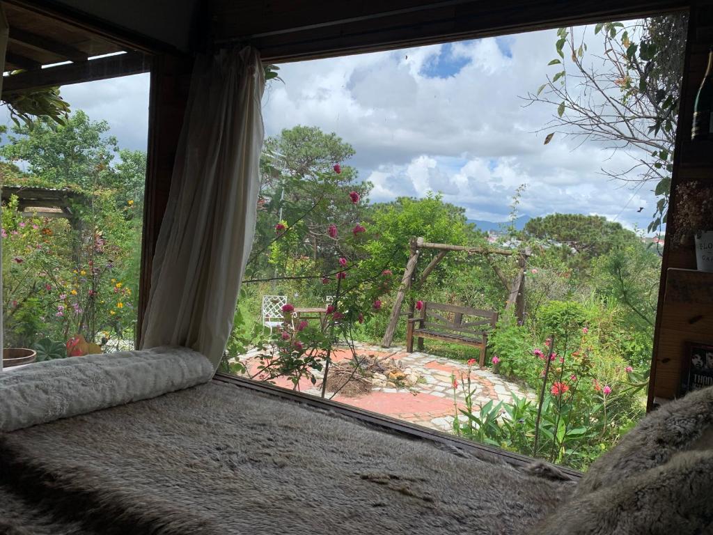 Romantic house on a pine hill Dalat photo 2