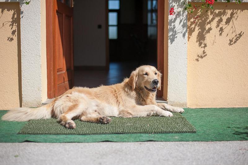 Farm Stay Kramer photo 3