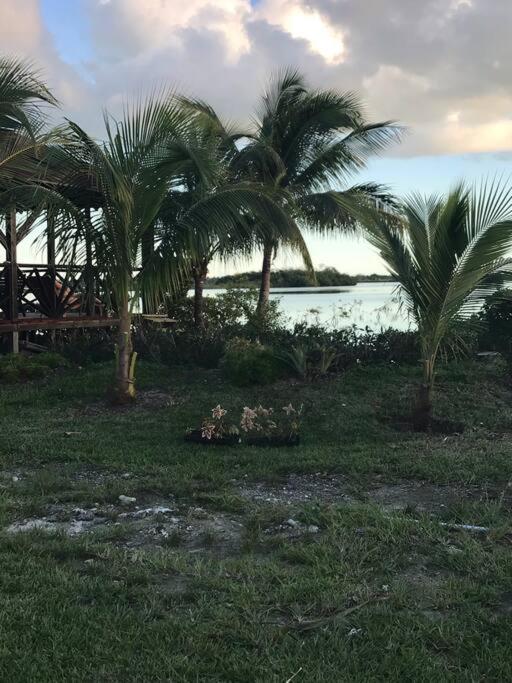 Hidden Paradise - Cottage photo 2