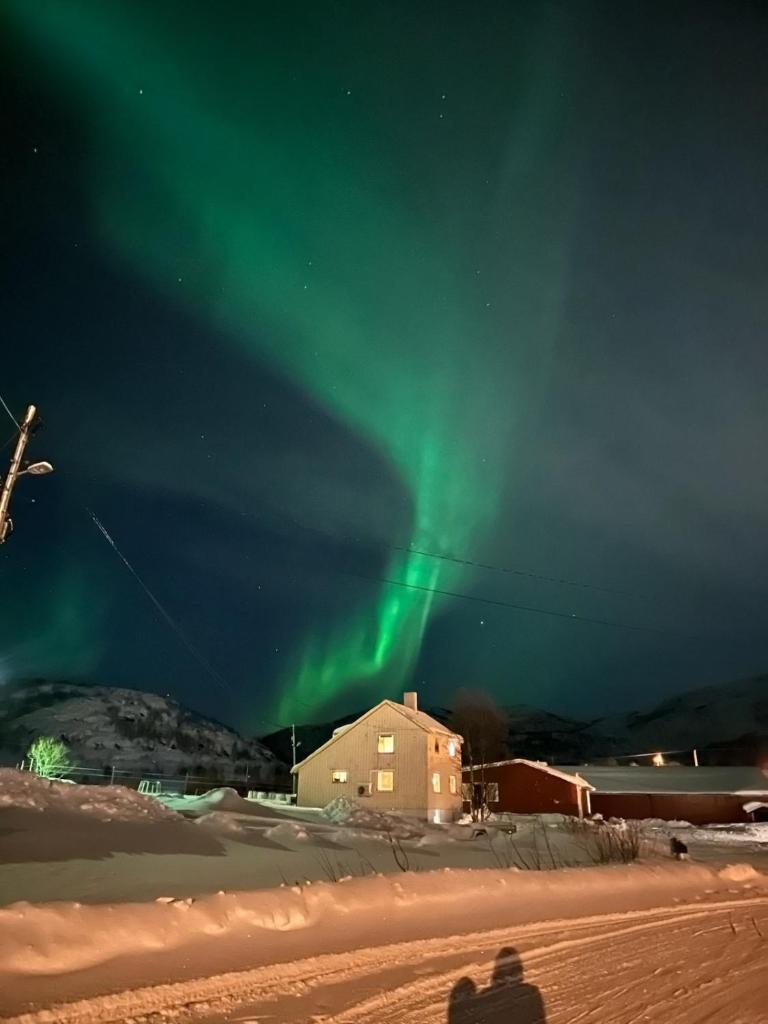 Storjord Farmstay Ranchhouse photo 3