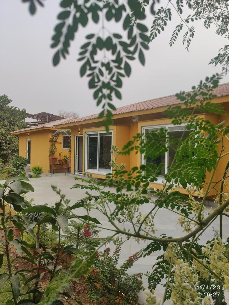 GiriSadan Organic Farm Retreat & Botanical Forest photo 2