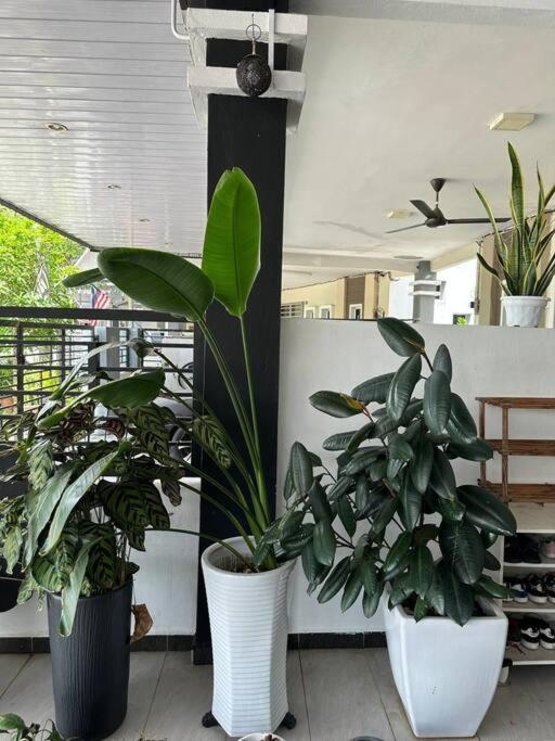 Pa & Ma HomeStay Kulim 4 bilik 3 bilik air photo 3
