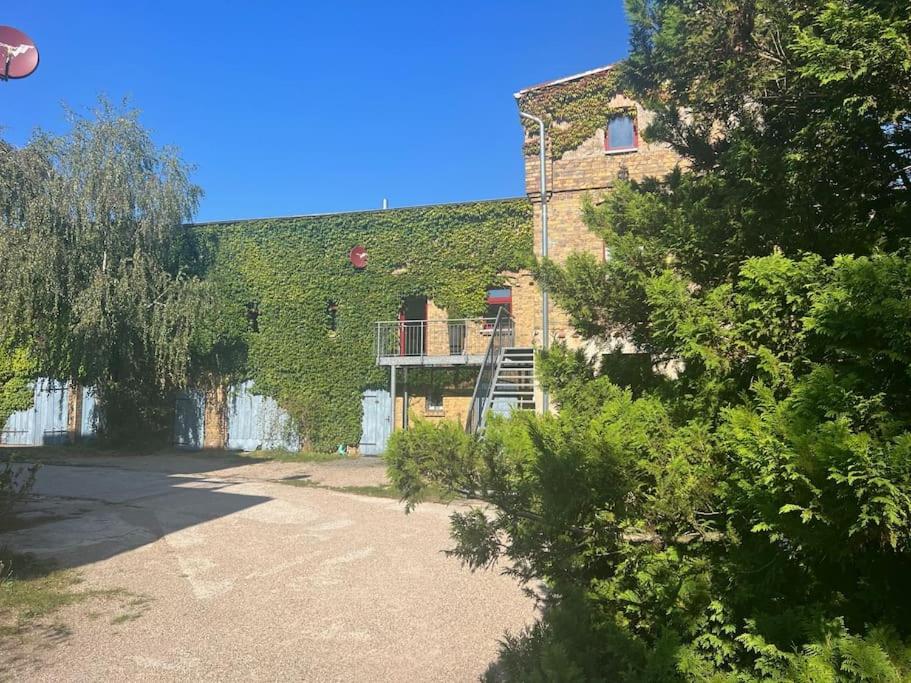 Romantik-Ferienhaus -Vier Sterne- idyllische Lage photo 3