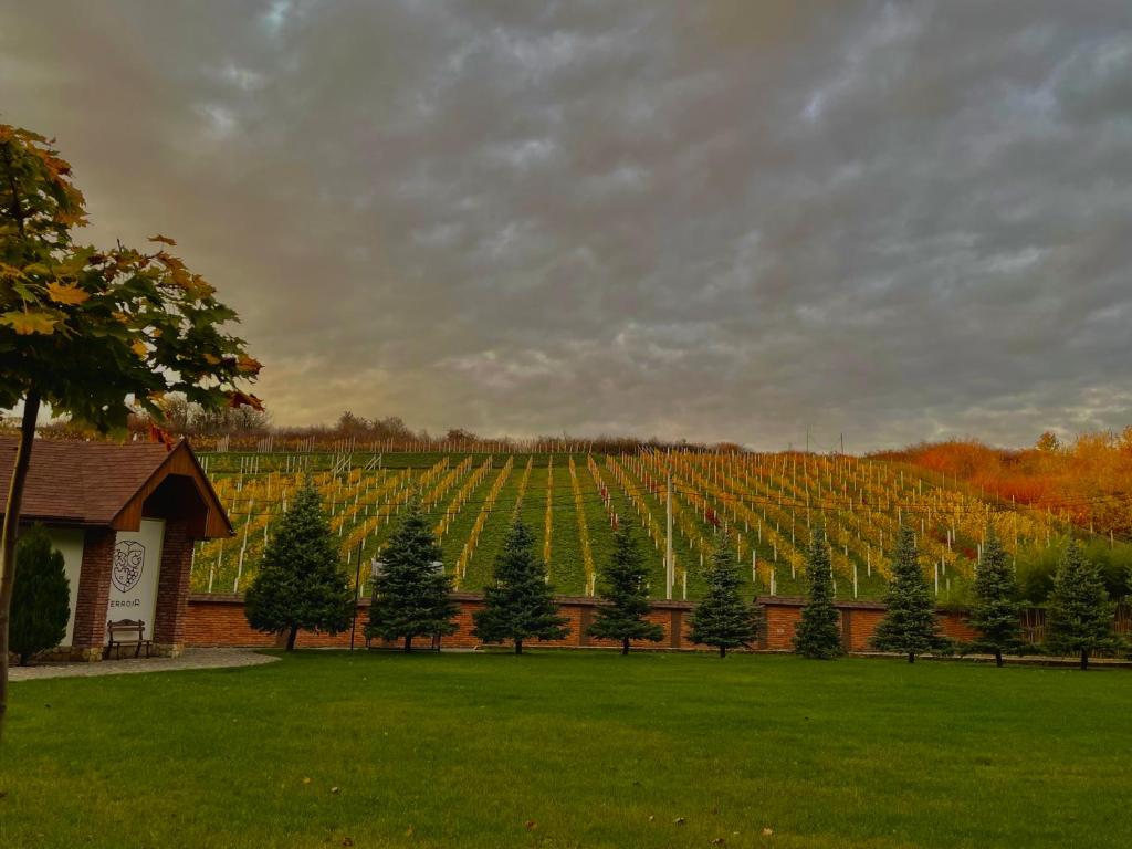 WineGarden photo 1