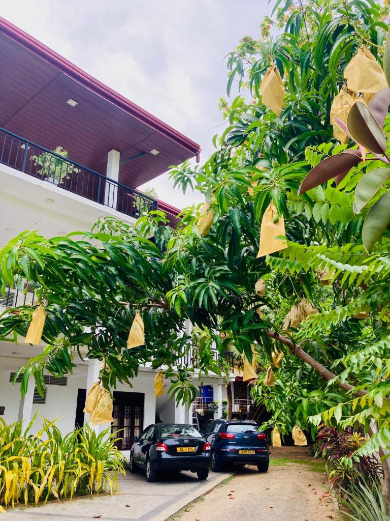 Hotel Siyathma polonnaruwa photo 3