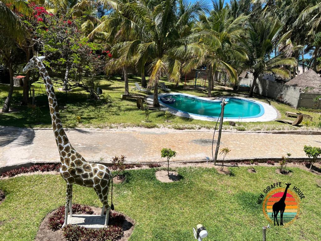 New Giraffe House photo 3
