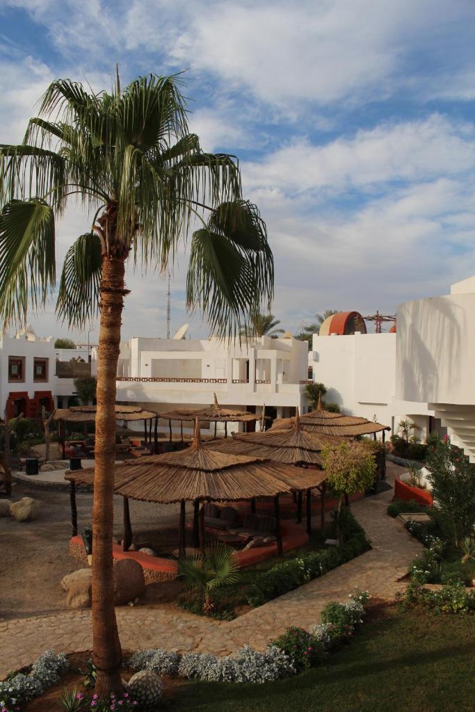 Sharm Inn Amarein - Boutique Hotel photo 3