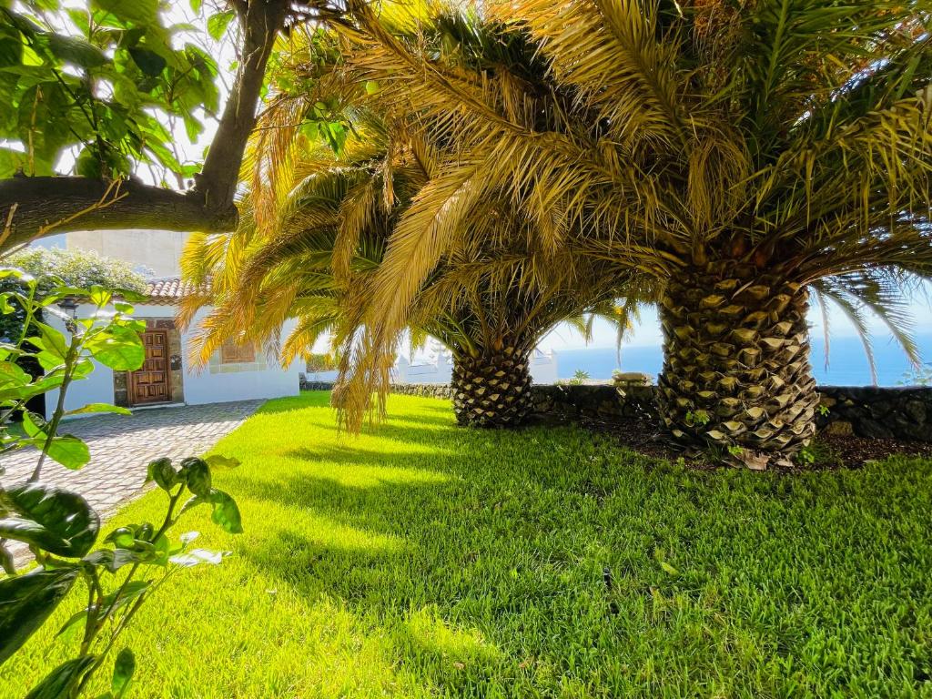 Casita con vistas al mar y sunsets en finca canaria photo 3