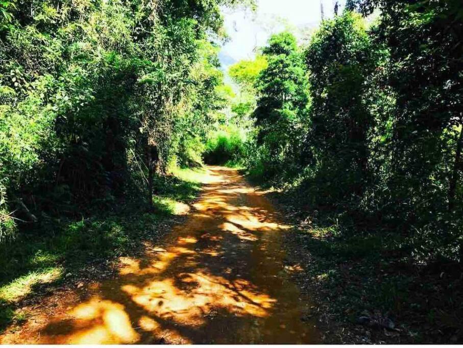 Chácara photo 3