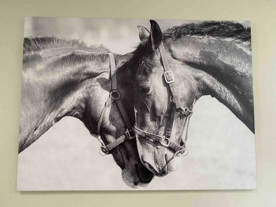 The Horse Lover