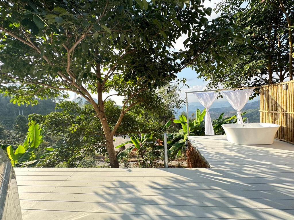 Arabica Lodge (อาราบิก้า ลอดจ์) photo 1
