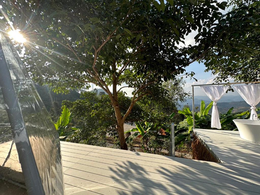 Arabica Lodge (อาราบิก้า ลอดจ์) photo 2