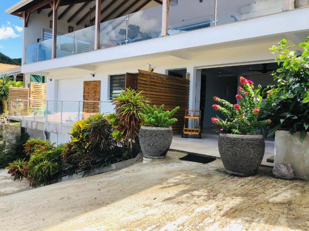 Le Tropical appartement 1 ou 2 chambres photo 1