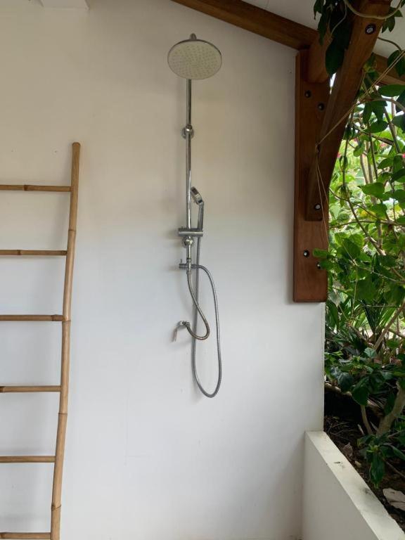 Le Tropical appartement 1 ou 2 chambres photo 2