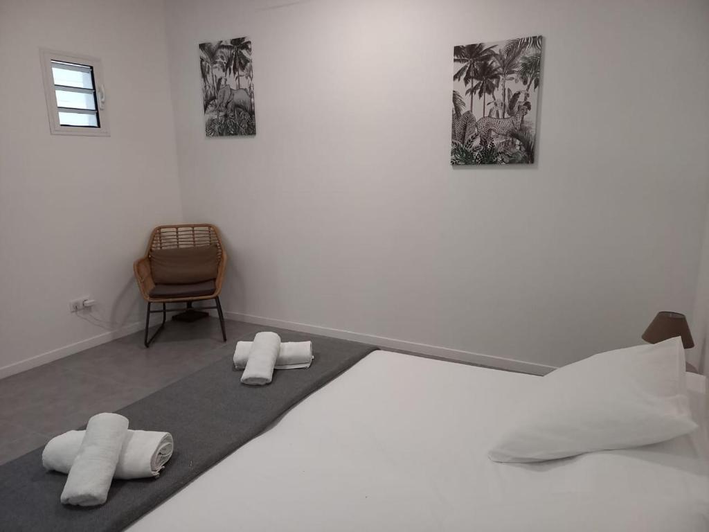 Le Tropical appartement 1 ou 2 chambres photo 4
