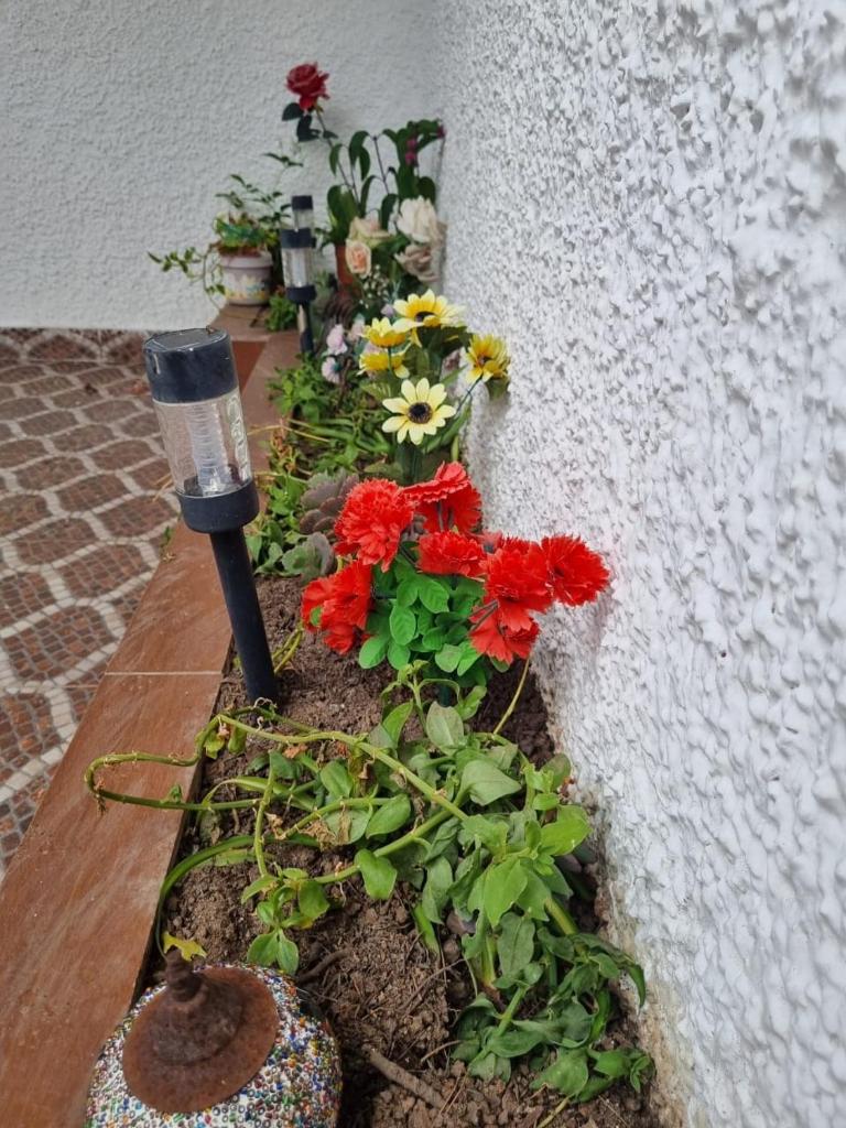Lovely house with garden photo 1
