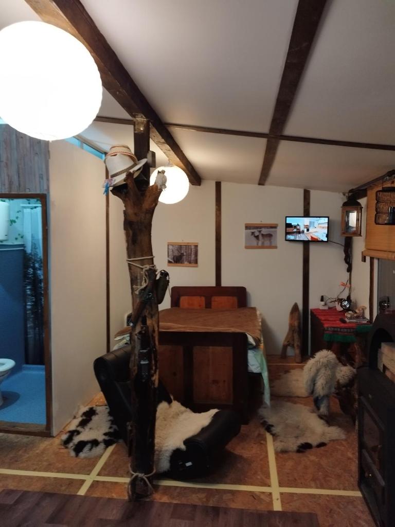 OLD CHALET photo 4