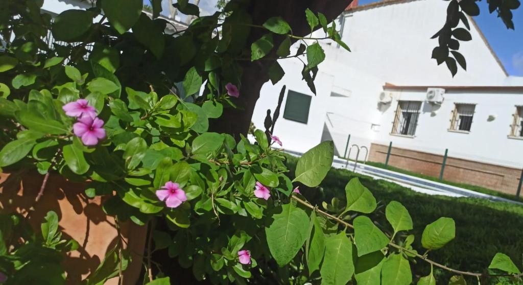 Casa turquesa photo 3