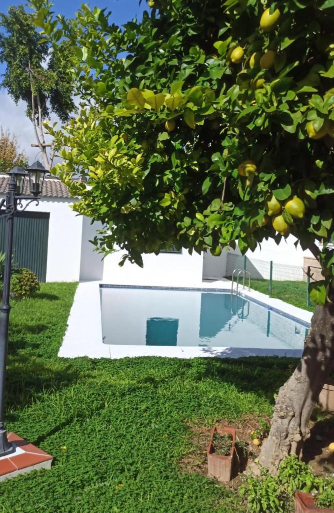 Casa turquesa photo 2