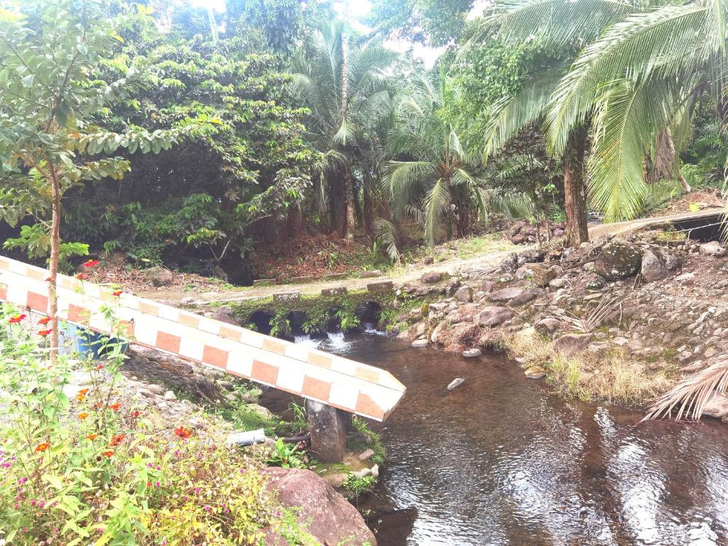 Chocolate Village & pool photo 4
