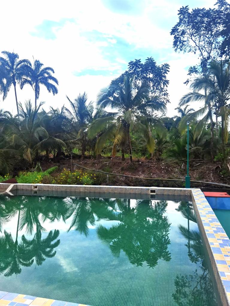 Chocolate Village & pool photo 1