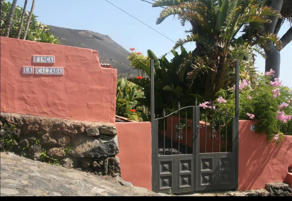 Finca La Calzada photo 4
